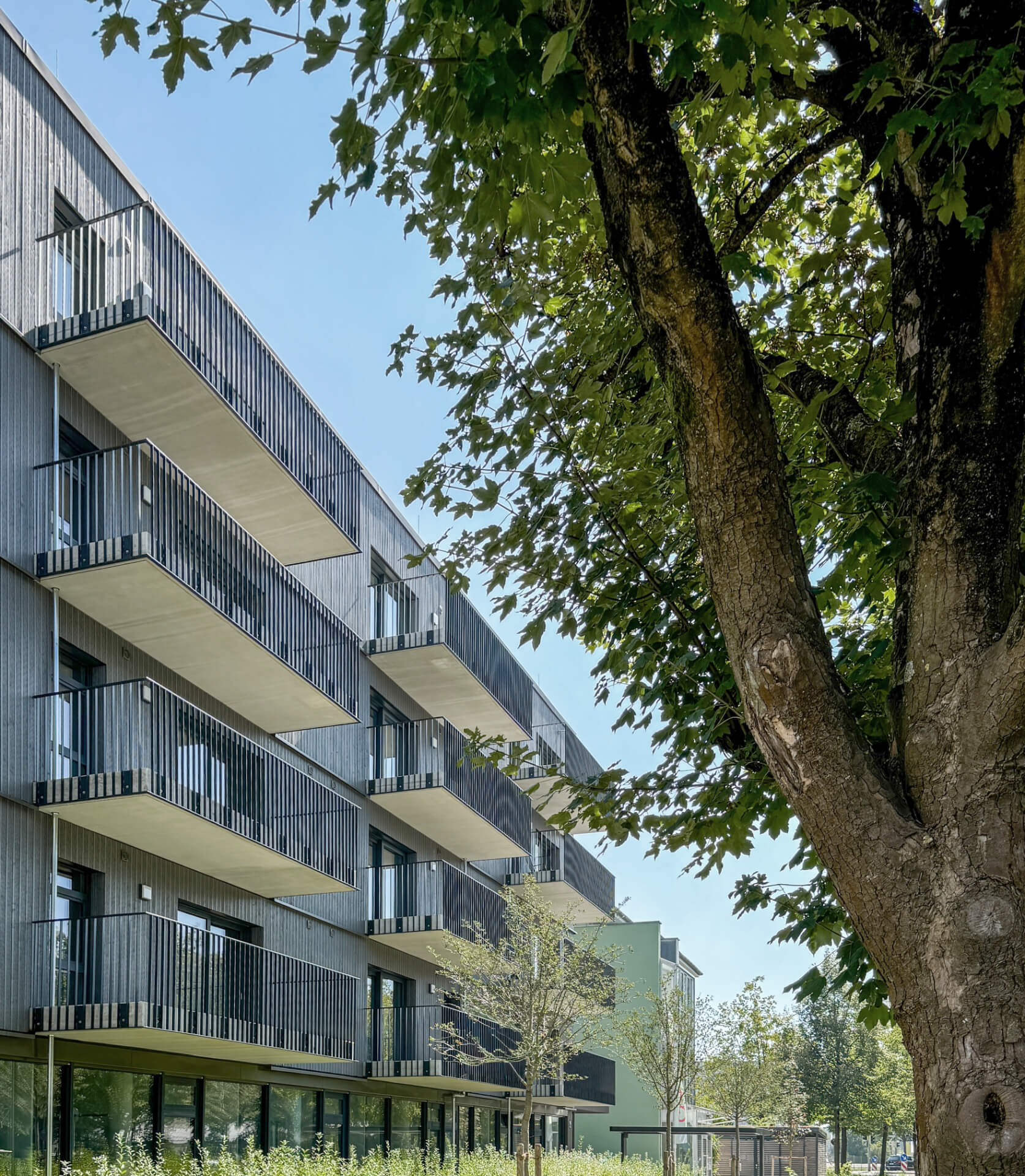 Betreutes Wohnen Augsburg back